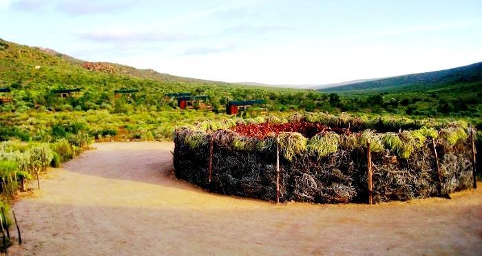 Agama Tented Camp Garies Exterior foto