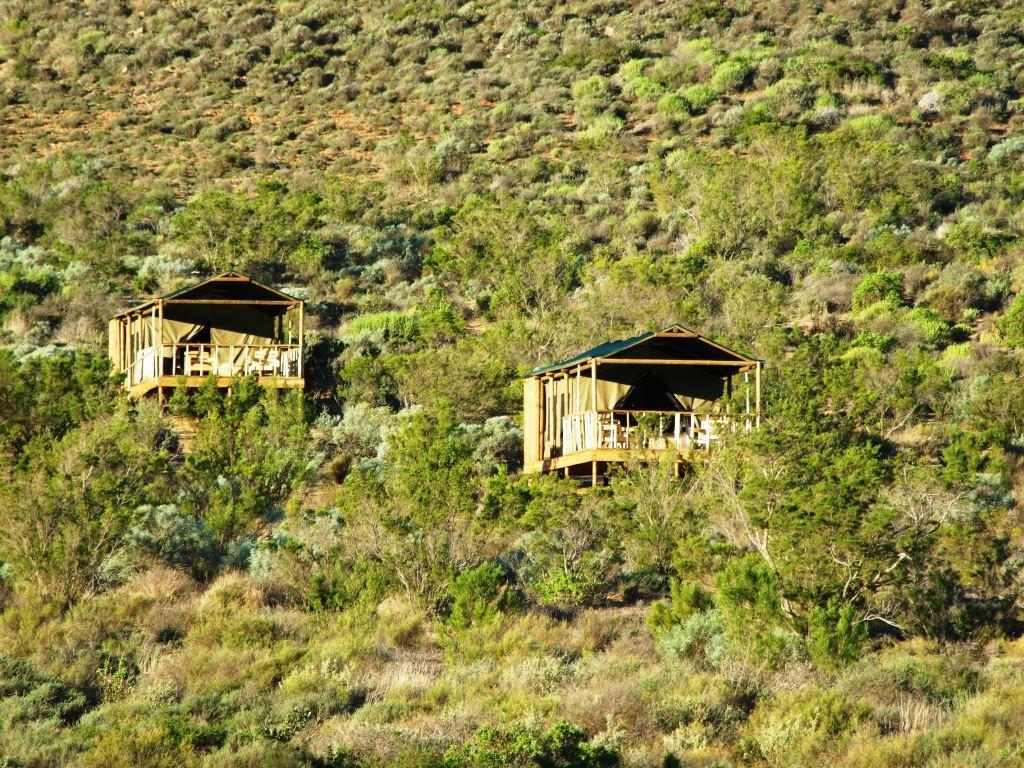 Agama Tented Camp Garies Exterior foto